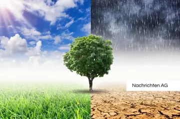 Klimaschutz in Kirchheim: Treffen am 27.11. – Machen Sie mit!