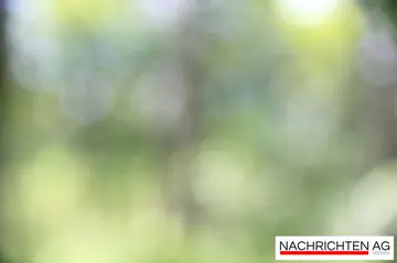 Klinikverkauf in Vaihingen: Verpasste Chance sorgt für Enttäuschung!